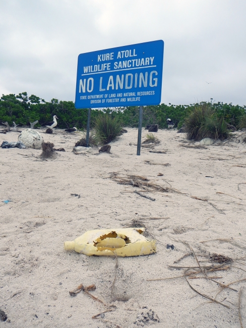 Debris that washed ashore at Kure Atoll Wildlife Sanctuary.