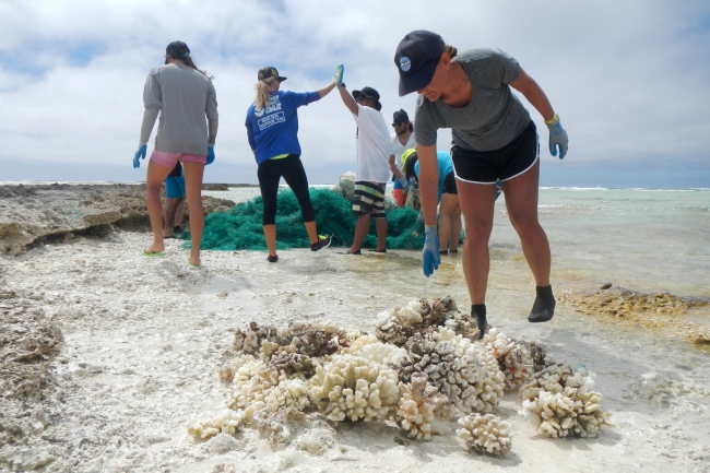 People giving high-fives over nets with dead corals in the foreground.