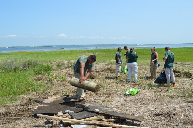 Volunteers picking up debris from a marsh.