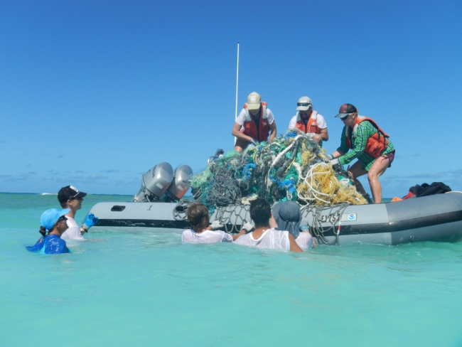 How Marine Debris Is Impacting Marine Animals And What We Can Do About ...