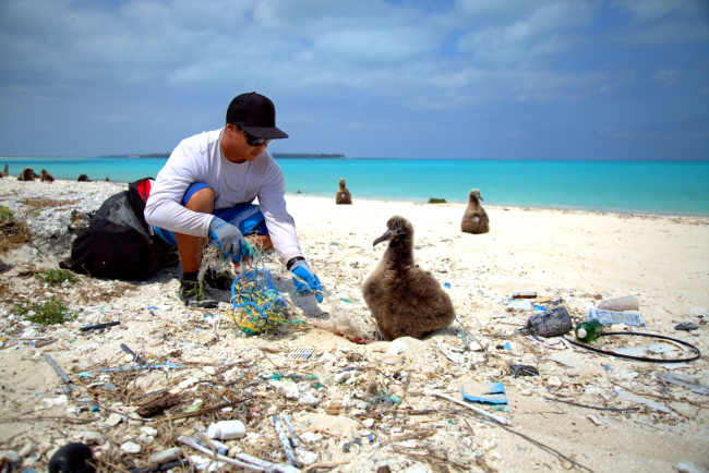 A person picking up marine debris from a large beach with a bird sitting next to him.