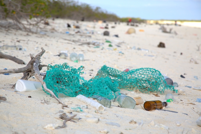 Marine Debris In National Marine Sanctuaries | OR&R's Marine Debris Program