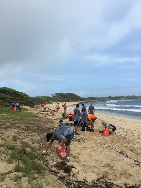 Volunteers cleaning up a Hawaiian beach.