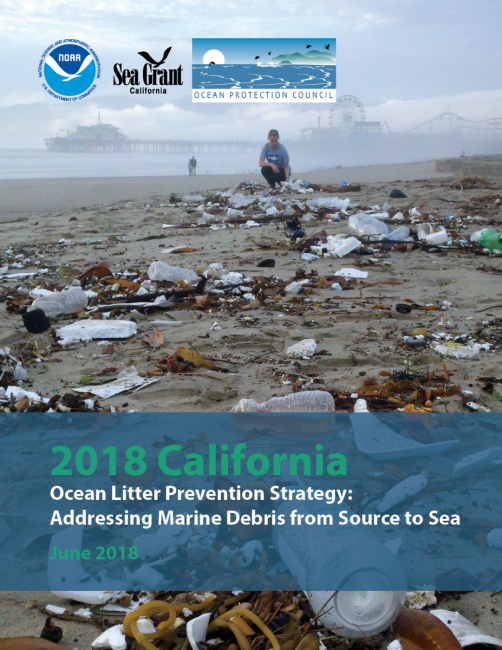 The cover of the California Ocean Litter Prevention Strategy.