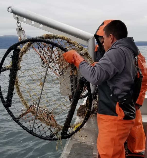Two people hoist up a round crab pot onto a boat located in the Salish Sea.