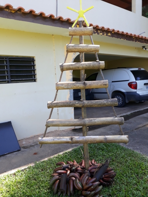 A Christmas tree made of old bamboo.