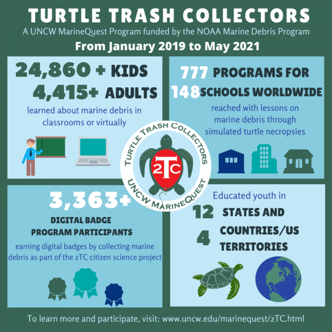 Turtle Trash Collectors Project infographic that highlights participation and engagement numbers.
