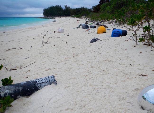 “Before” our clean-up, debris littered the northern shoreline of Sand Island at Midway Atoll National Wildlife Refuge.