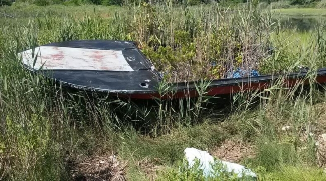 An abandoned boat left in a marsh with grass growing out of it.