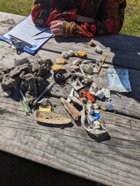 A collection of marine debris items spread out on a wooden picnic table with a volunteer filling out a survey collection sheet.