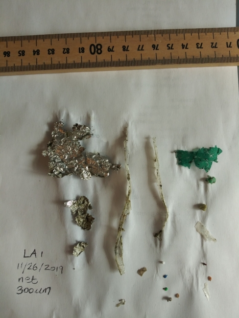 Macro debris and microplastics sampled from the Los Angeles River.
