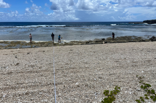 Four people surveying a shoreline transect for marine debris.