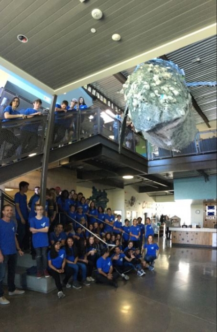 Students standing under a large, hanging whale sculpture.