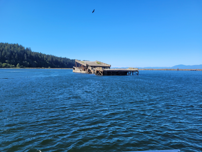 A derelict bridge that sank in a bay with treelines in the distance.