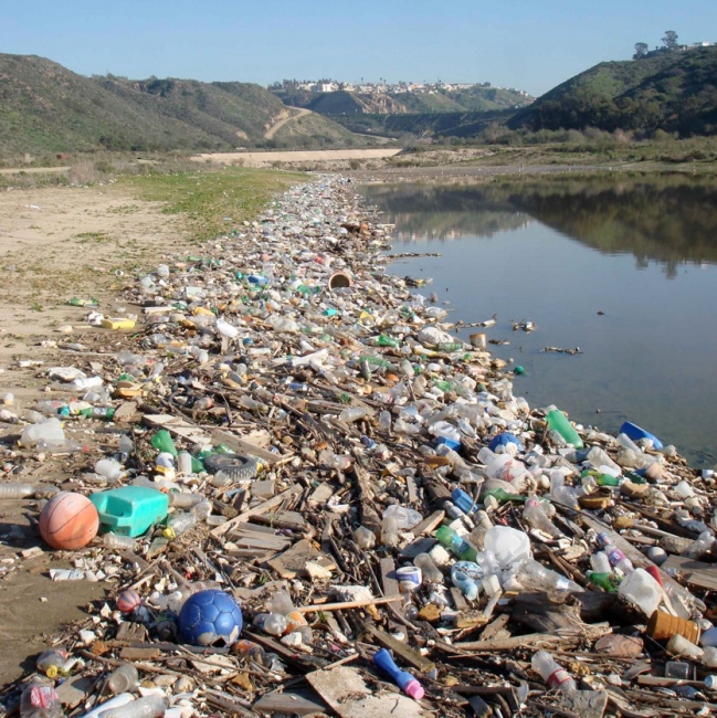 Trash and natural debris a basin shoreline.