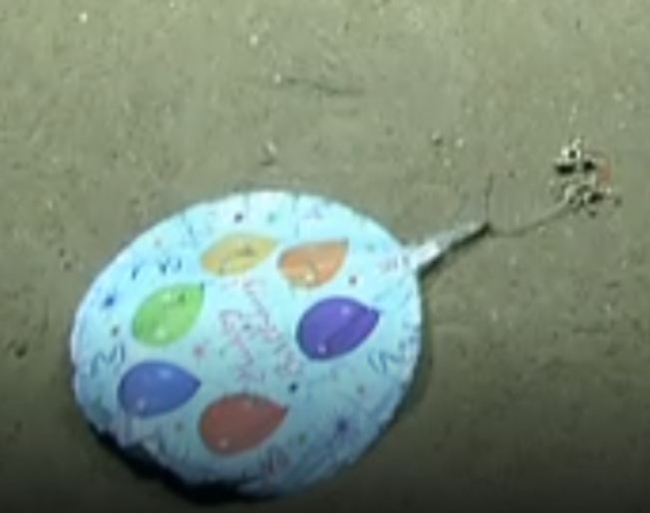 A balloon that says “happy birthday” rests on a sandy bottom that is located deep in the ocean.