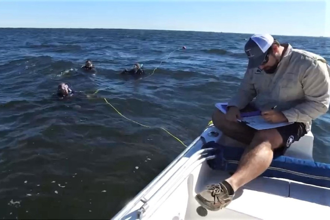 A man on a boat recording data on a clipboard with three divers nearby.