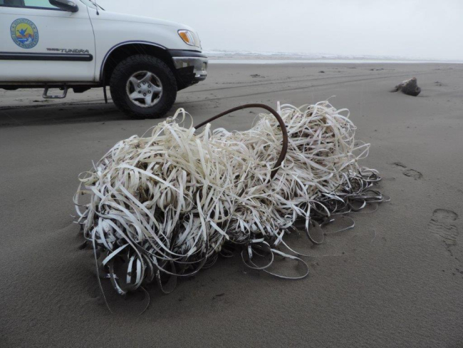 A large tangle of packing straps on a beach shoreline.