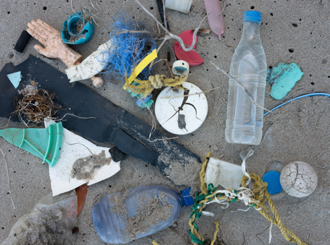 Debris collected from the shores of Santa Rosa Island, California. 