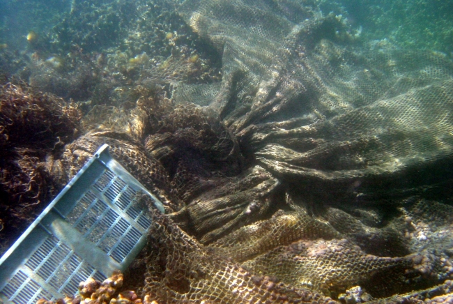 A net and laundry basket on corals.