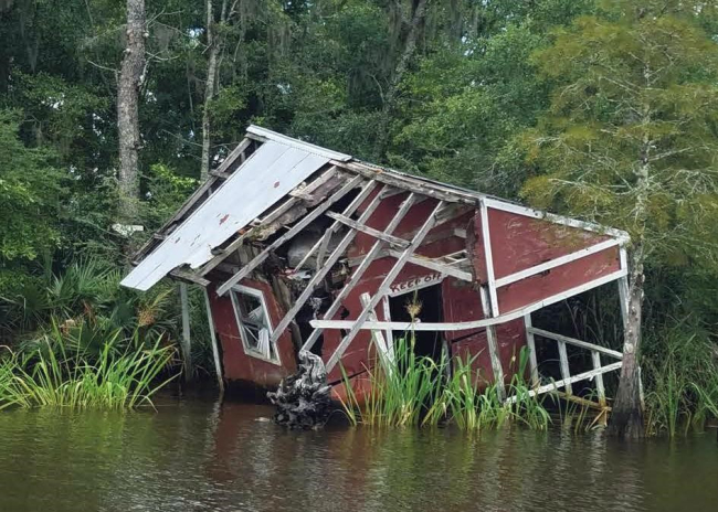 A derelict houseboat breaking apart at the edge of a river.