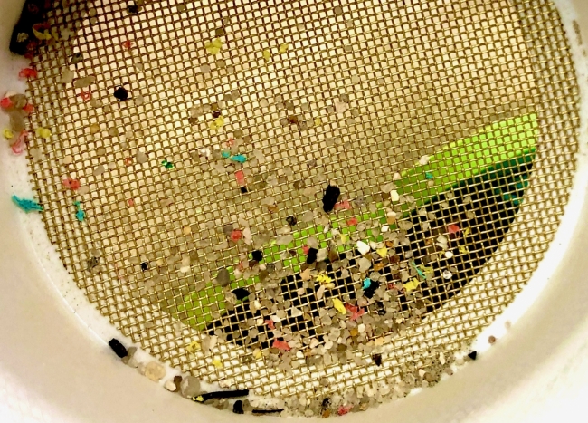 Small fragments of plastic in the mesh of a round filter.