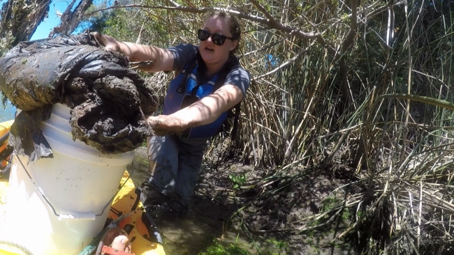 Volunteer removes debris from the river. 