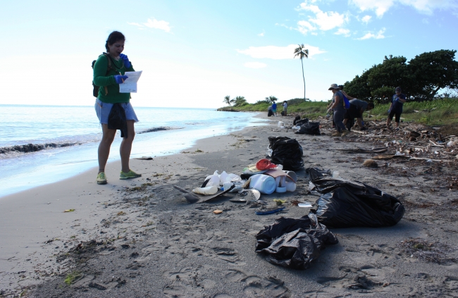 Volunteers cleaning up marine debris from a Caribbean beach.