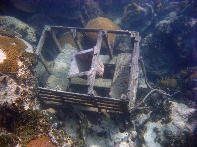A derelict lobster trap in the Florida Keys.