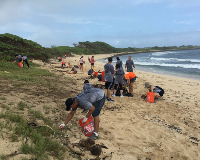 Volunteers with orange buckets cleaning up a Hawaiian beach.