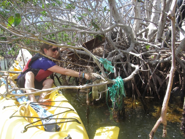 A person in a kayak reaches into the roots of a mangrove tree to remove garbage.
