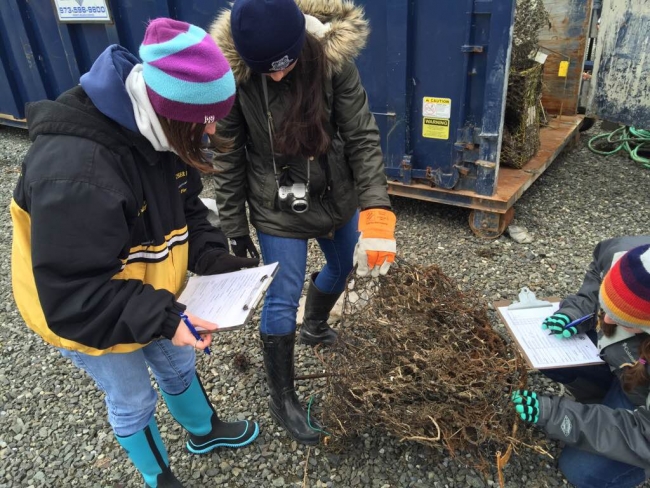 Students record data on a clipboard while observing a derelict crab pot.