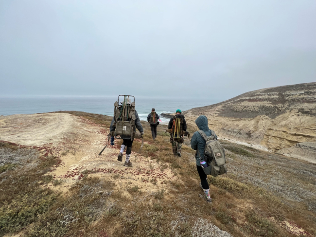Removal team members hiking on Santa Rosa Island.