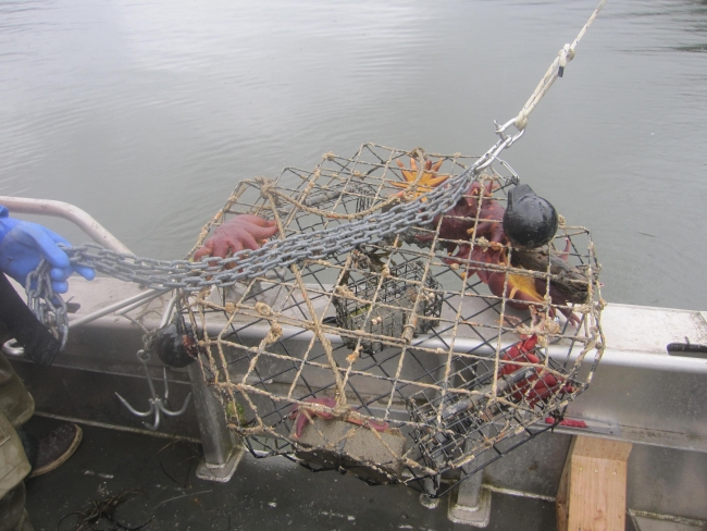 A derelict crab pot on the edge of a boat.