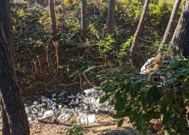 A large assortment of plastic bottles, drink cans and other trash spread out in a depression in a forest floor.