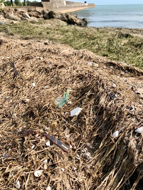 Small pieces of plastic and a pair of sunglasses litter a shoreline.