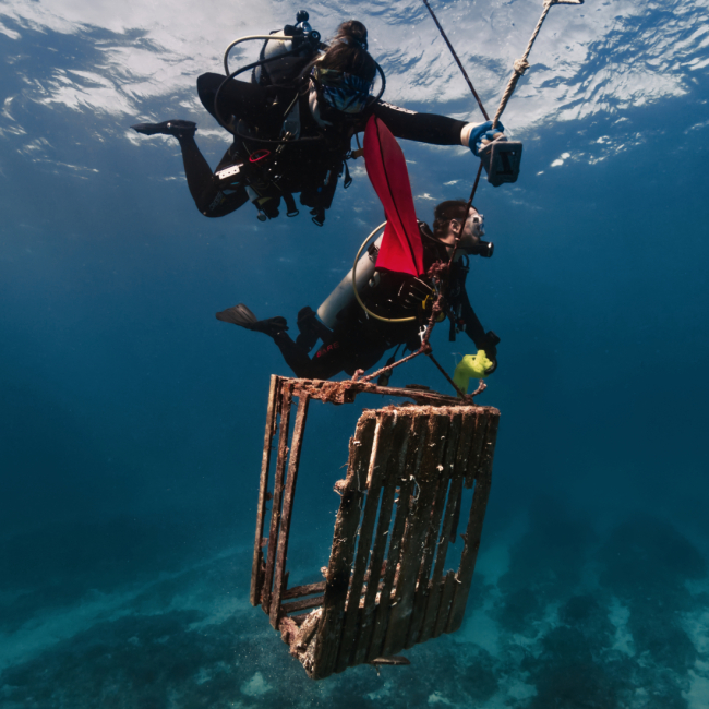Divers removing an old trap from the ocean floor.