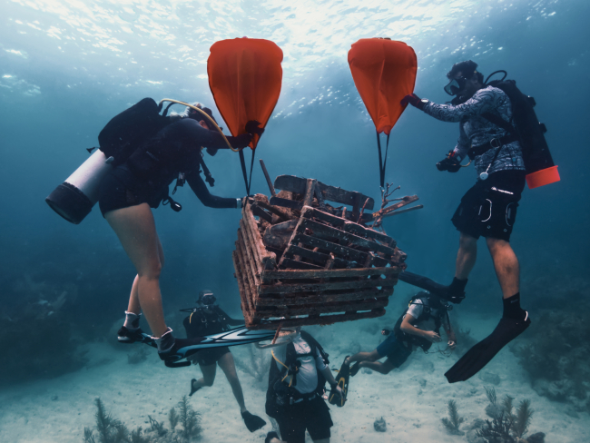Divers use lift bags to remove a derelict trap from the seafloor.