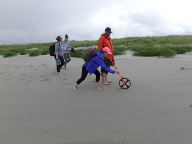 A group of people walking on a beach and using a measuring wheel.