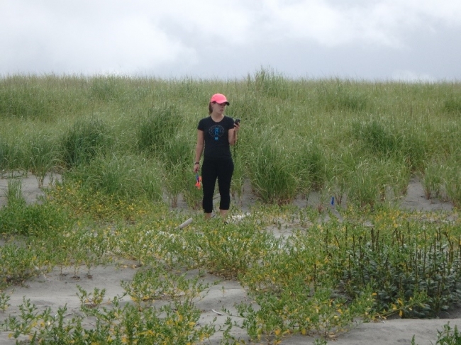 Sherry Lippiatt standing in beach vegetation and looking at a GPS.