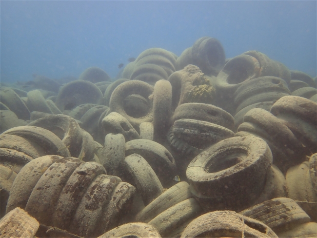 A pile of about 60 tires lies at the bottom of the ocean.