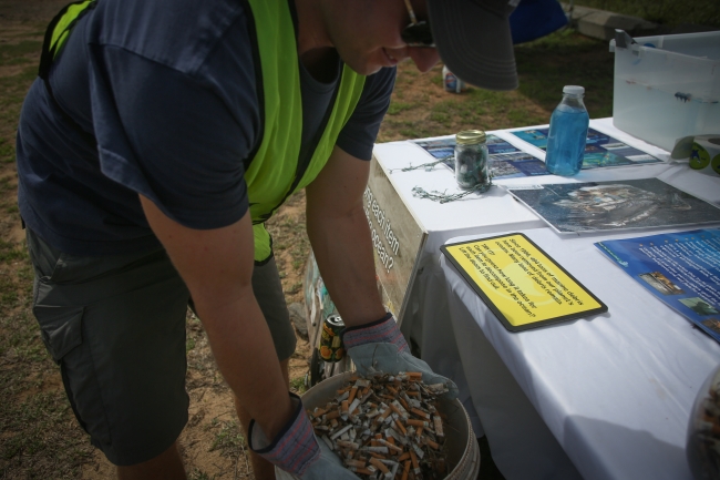 A volunteer holding a handful of littered cigarette butts.