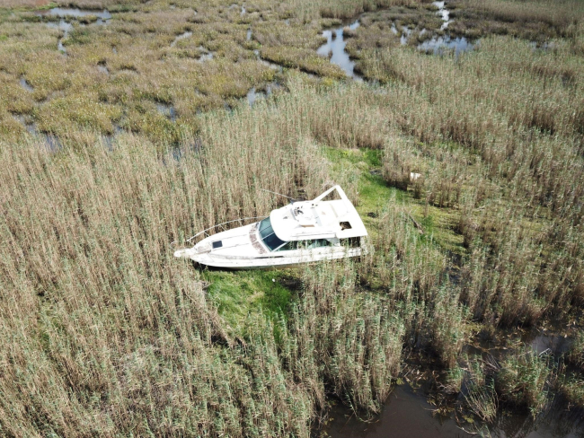 A small derelict boat stranded in the marsh at the edge of a river.