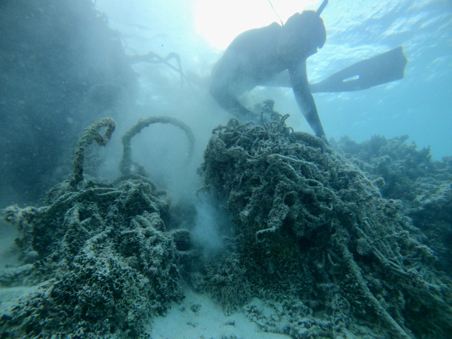 A diver removes a net from the reef.