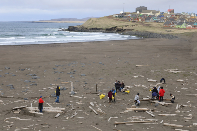 Volunteers pick up debris during a beach cleanup. 