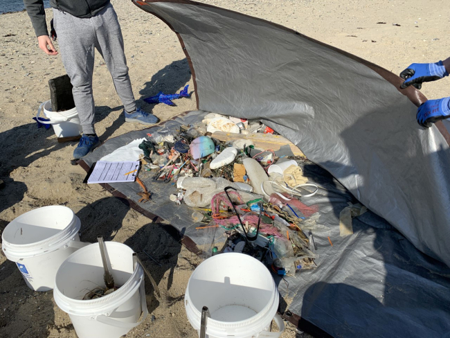 Volunteers sorting trash collected during a beach cleanup.