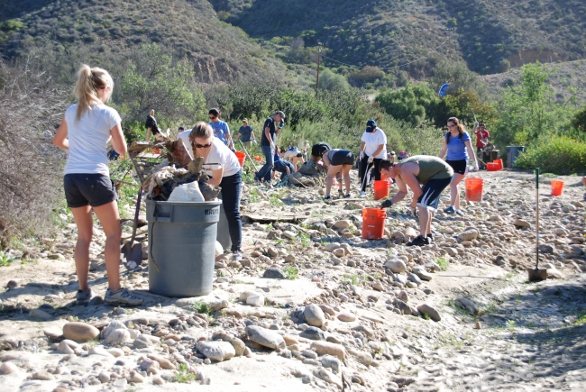 People cleaning up marine debris.