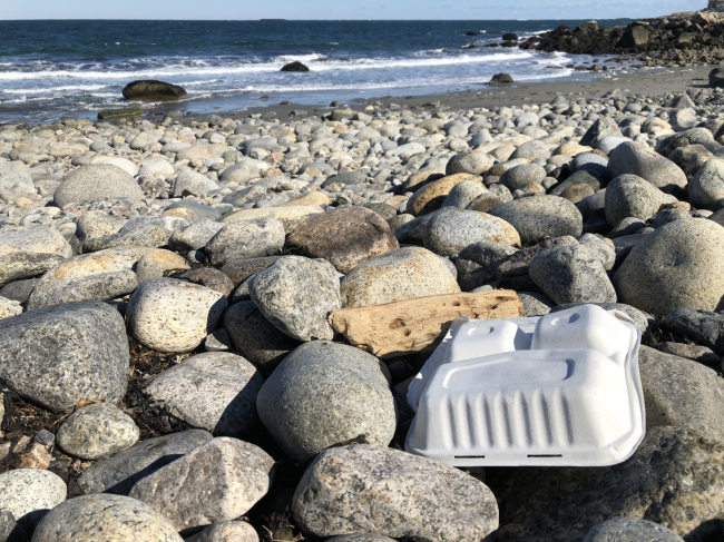 A takeout container left on a rocky beach.