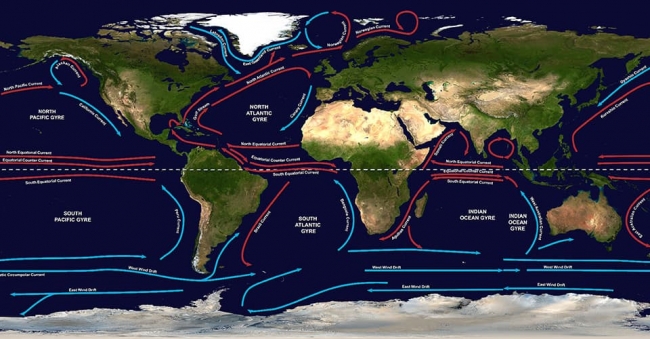 A map of the five major gyres, which are large systems of rotating ocean currents.