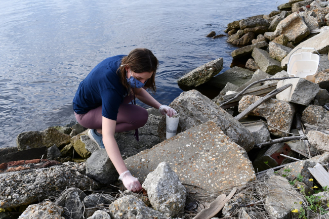 A student picking up debris along a rocky shore.